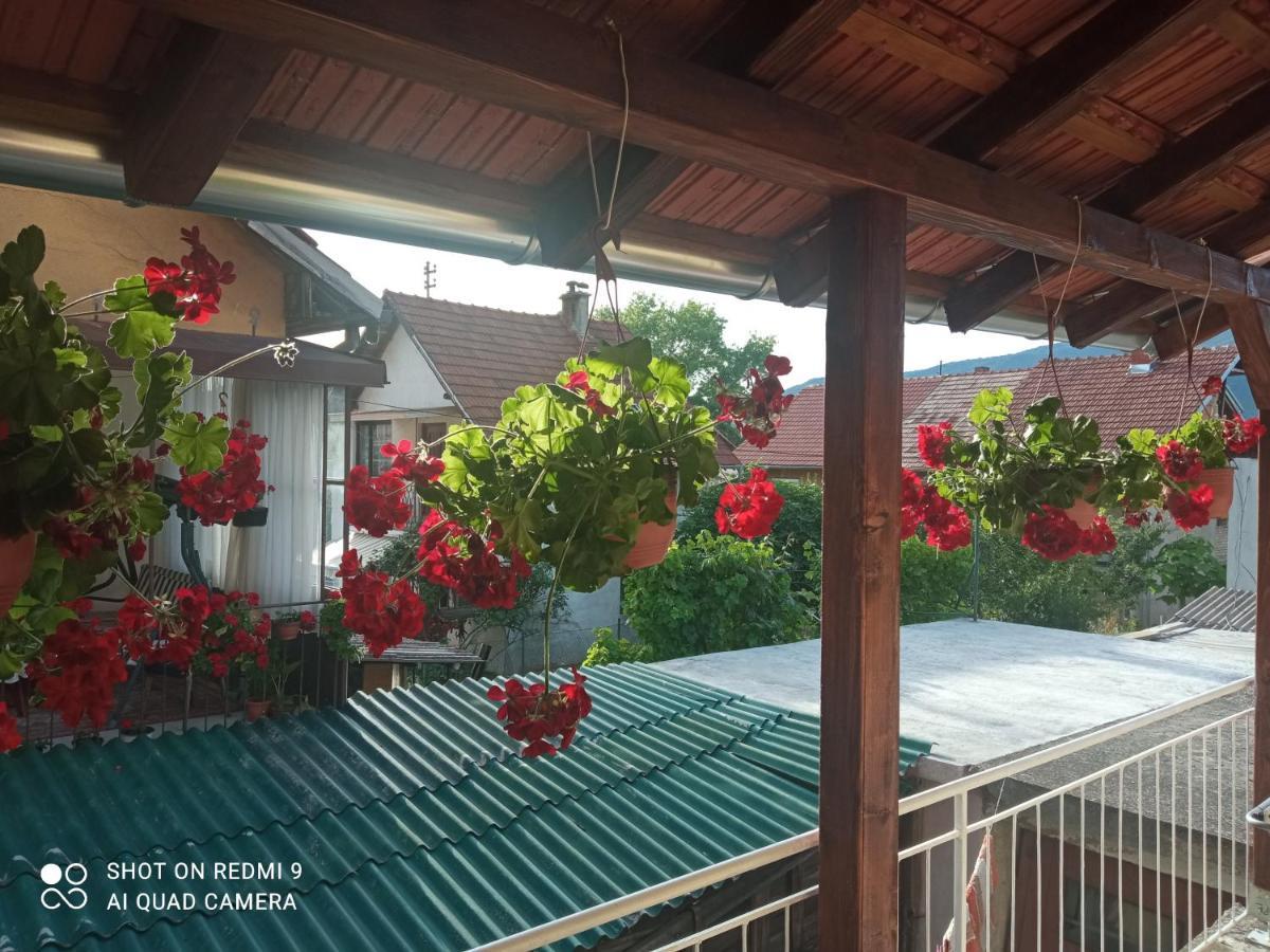 Apartman ,,Milica" Donji Milanovac Exteriör bild