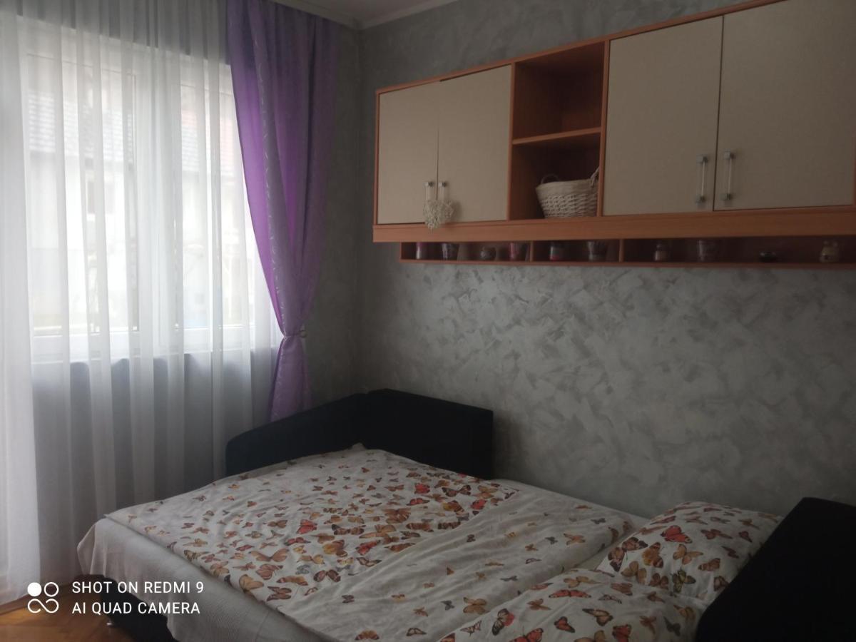 Apartman ,,Milica" Donji Milanovac Exteriör bild